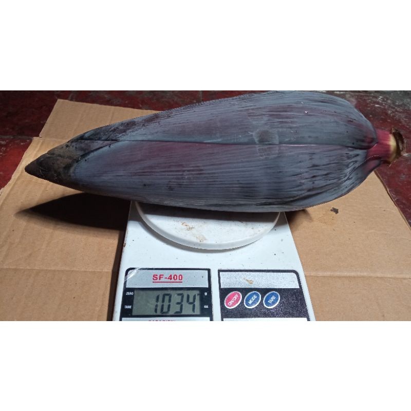 new.. Jantung/Sayur Pisang Kepok Batu/klutuk Kemasan 1kg