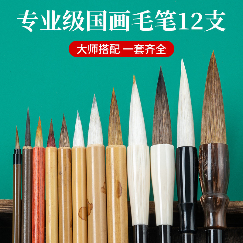 

12 PCS Brush Chinese Brushes Calligraphy Painting Watercolor Pen Writing Set Ink Sumi Drawing School Art Supplies