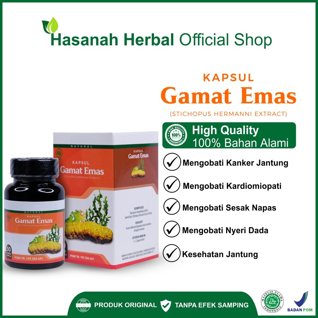

Obat Jantung Kardiomiopati Arteri Koroner Mengobati Nyeri Dada Dan Sesak Nafas Kapsul Gamat Emas