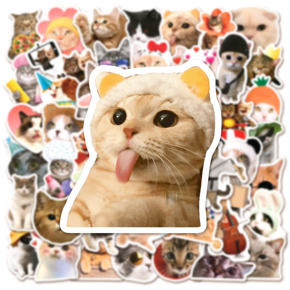 

50Pcs Funny Cat meme Stickers Cartoon Cute Decals Toy Stationery Guitar Phone Bicycle Laptop Luggage Car Graffiti Kids Sticker