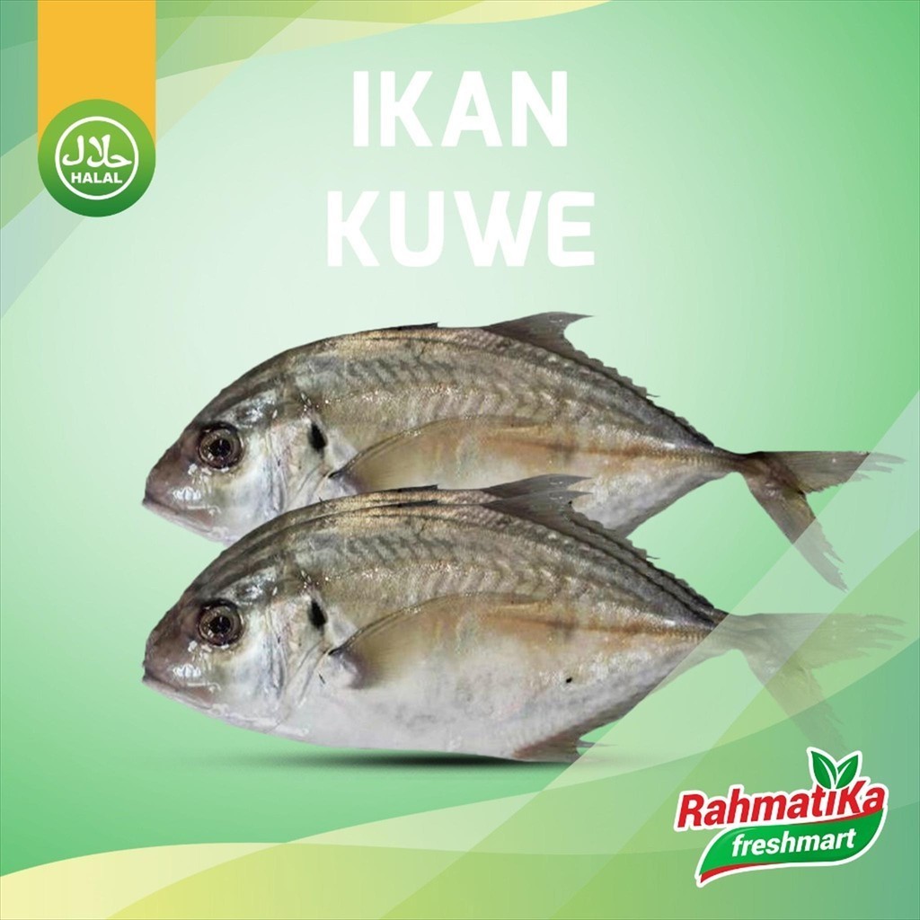 

Ikan Kuwe 1 Pack