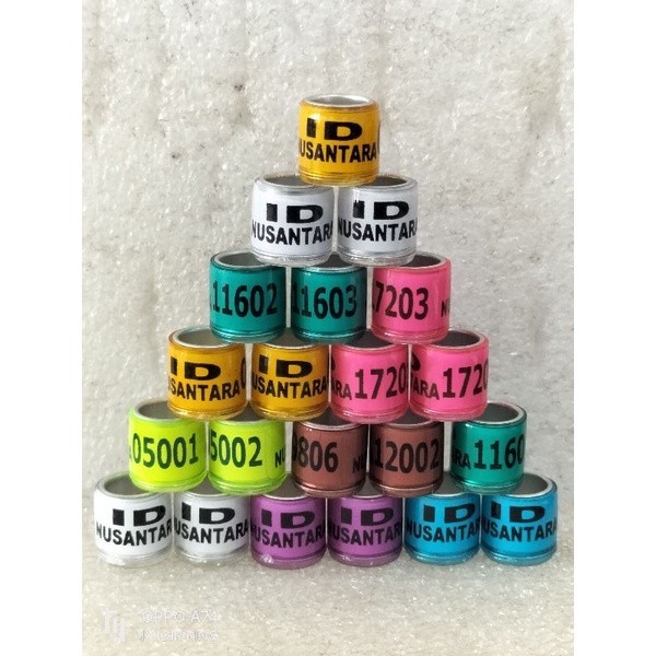 RING BURUNG MERPATI PIGEON MERPATI POS RACING ID NUSANTARAmurah