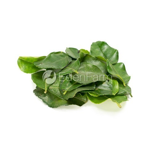 

Daun Jeruk Segar 1/2 KG - 500 Gram