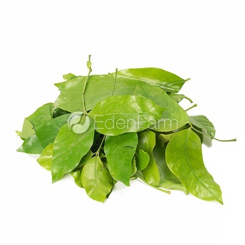 

Daun Melinjo Segar 1/2 KG - 500 Gram