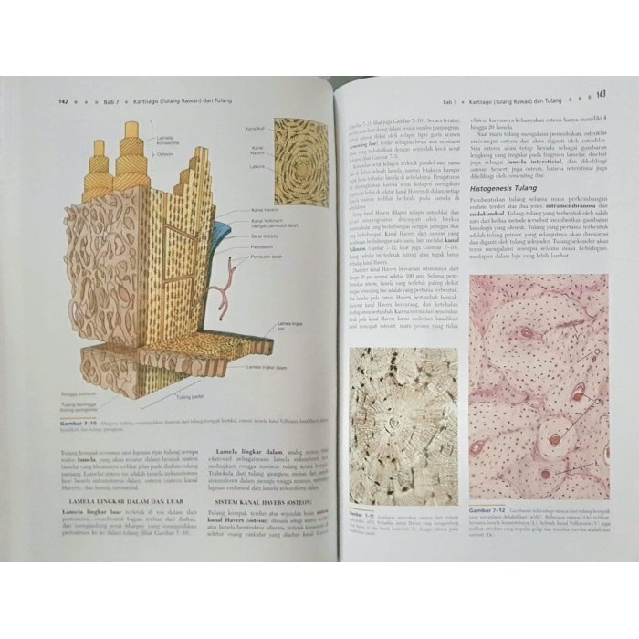 PROMO ~ [] Buku Ajar Berwarna Histologi 3e - Gartner