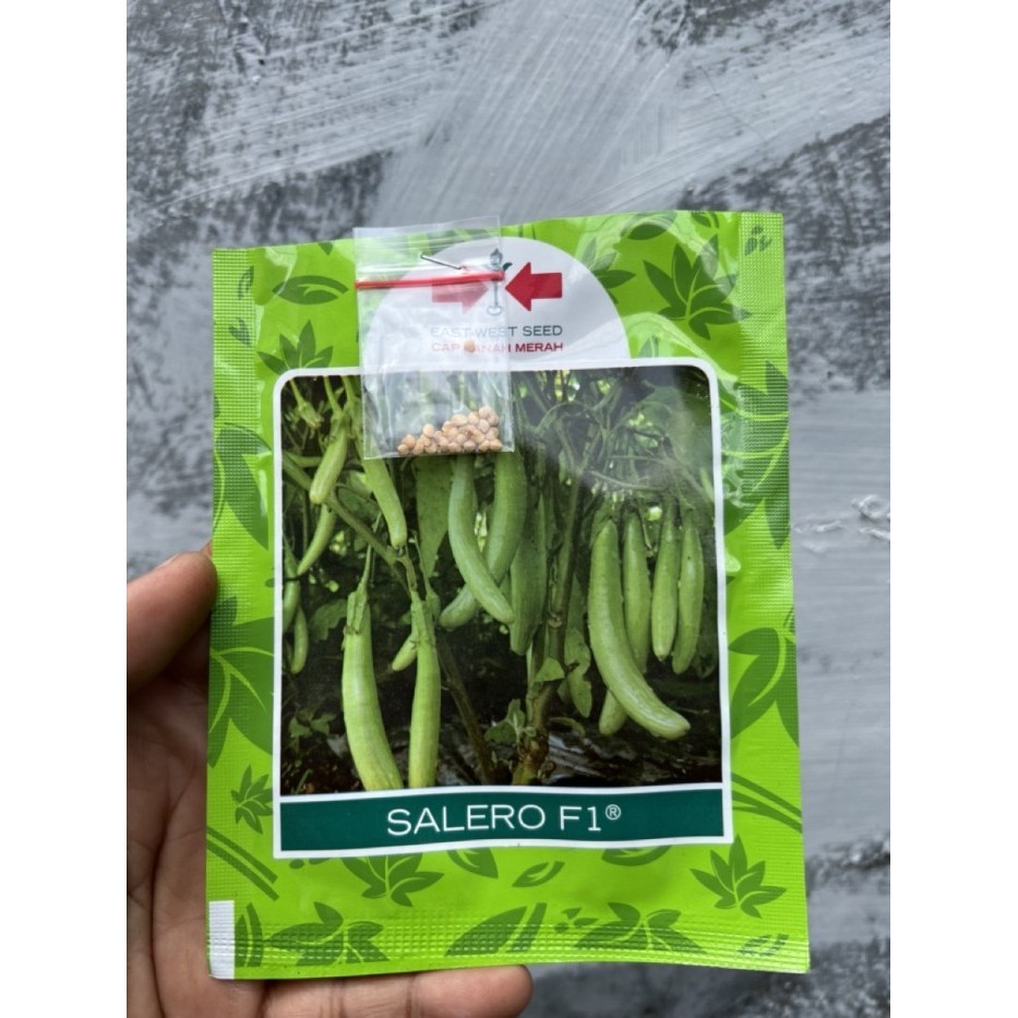 Benih Bibit Terong Hijau Terong Lalap Kemasan Repack Cap Panah Merah TERBARU