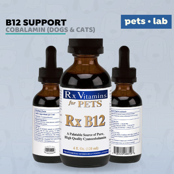 RX Vitamins for Pets B12 Cobalamin Anemia Anjing Cat Kurang Darah