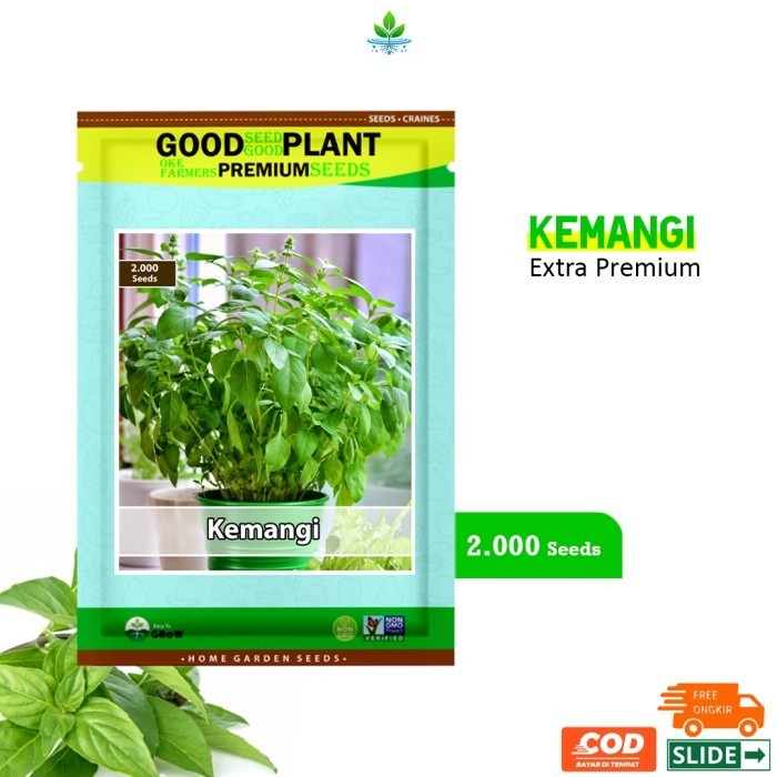 Extra Premium - 2.000 Biji Benih Bibit Daun Kemangi Lalapan F1