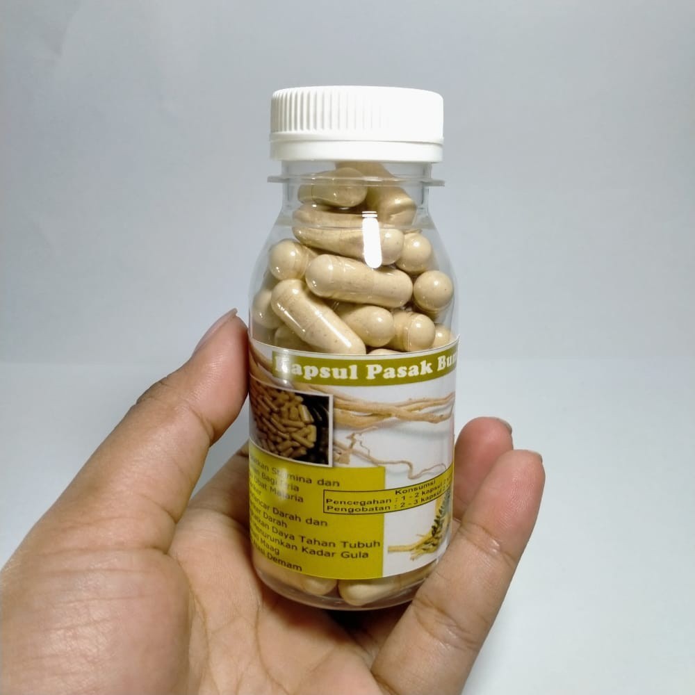 60 Kapsul Pasak Bumi Obat Jamu Herbal Tongkat Ali