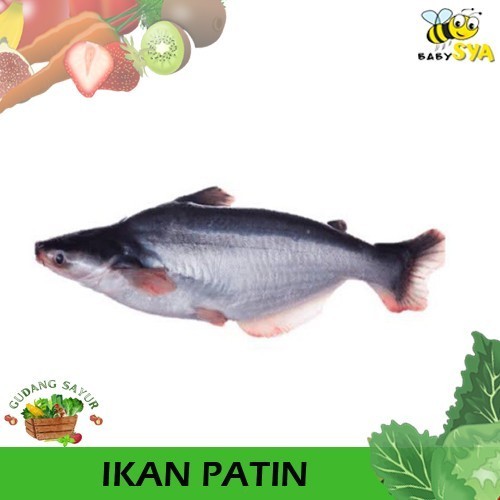 

Ikan Patin 1Kg Ikan Segar Bekasi Jakarta Timur Utara Selatan Pusat Dibersikan