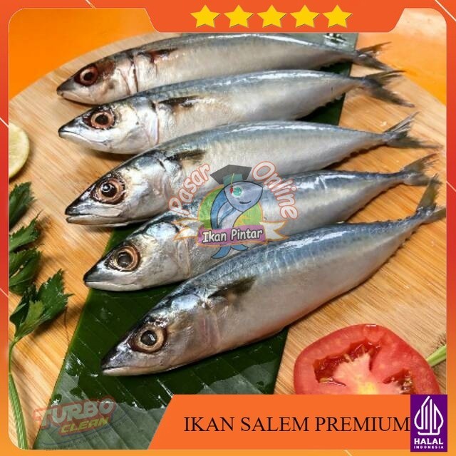 

IKAN MAKAREL / SALEM / TEROPONG / LAYANG / SARDEN / SABA - FRESH FAST DELIVERY