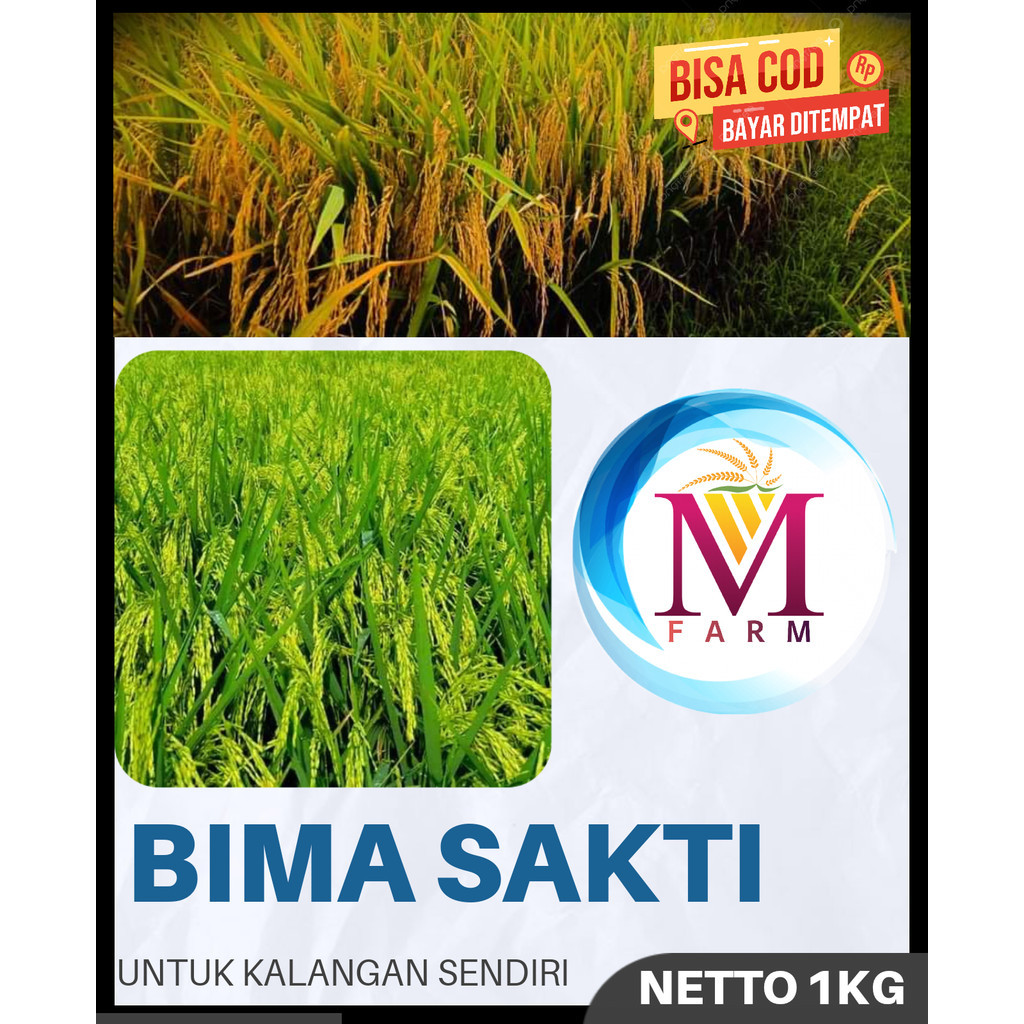 benih padi bima sakti kemasan 1kg