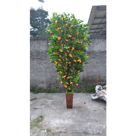 pohon jeruk plastik, peruk artificial ,pohon jeruk tinggi 200cm / 2 meter