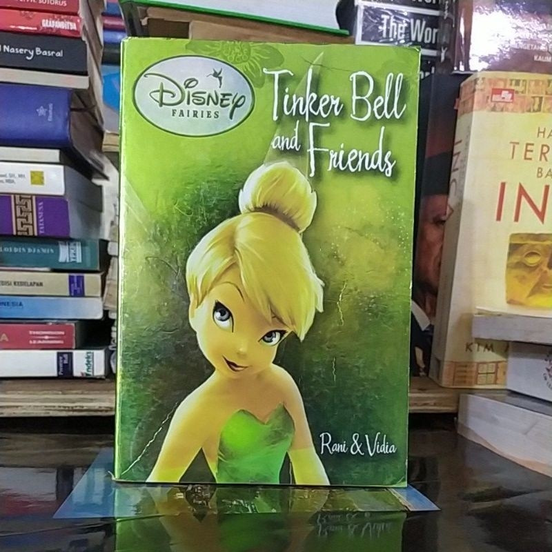 Disney fairies Tinkerbell and friends
