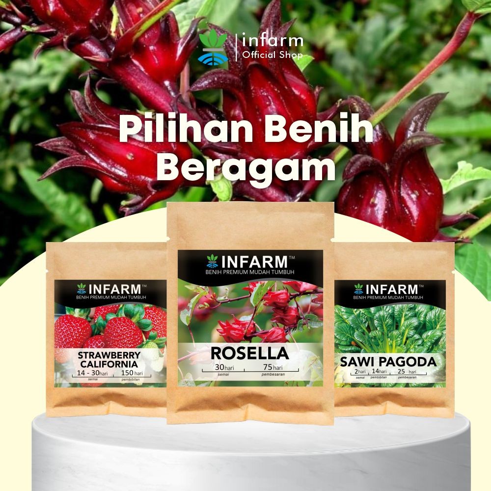 ID INFARM - BENIH BIBIT BIJI SUPER BUNGA ROSELLA