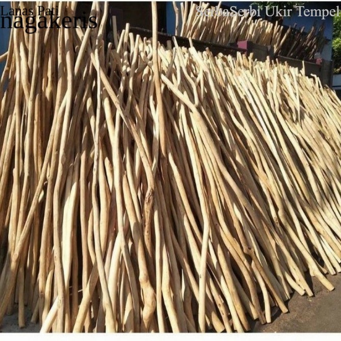 

Termurah ranting kayu jati 100cm FNX011 XD7