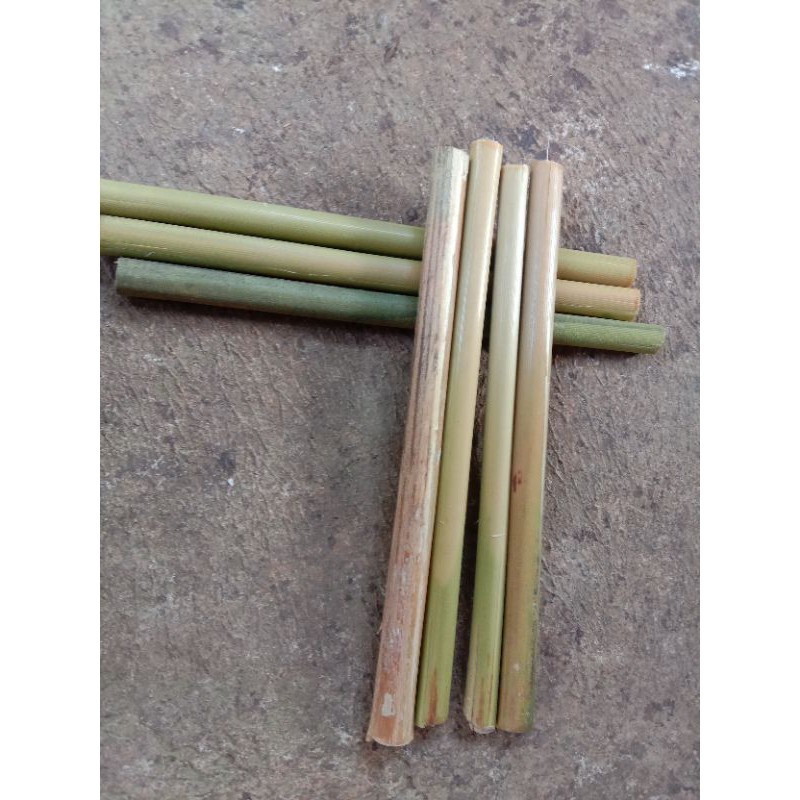 

batang pohon tepus obat rahasia luka luar cepat sembuh 1 kg