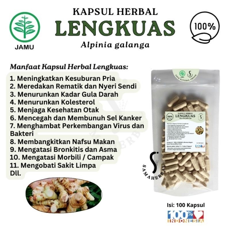ISI 100 KAPSUL HERBAL LENGKUAS Untuk Rematik Nyeri Sendi dan Kesuburan Pria - SAMAHERBAL