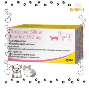 Synulox Palatable Tablets 500mg for Dogs & Cats | obat tablet antibiotik peliharaan 1strip (10 butir