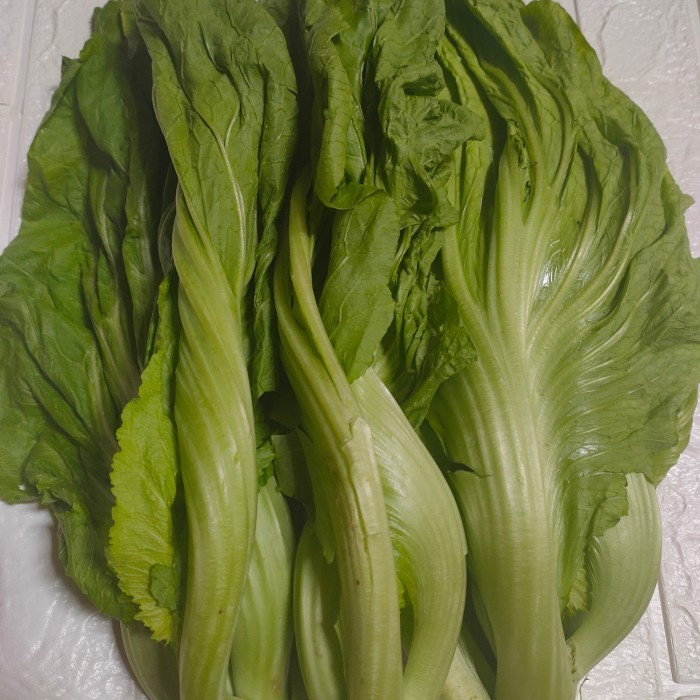 

Sayur Sawi Pahit Segar 500 - 1000 Gram