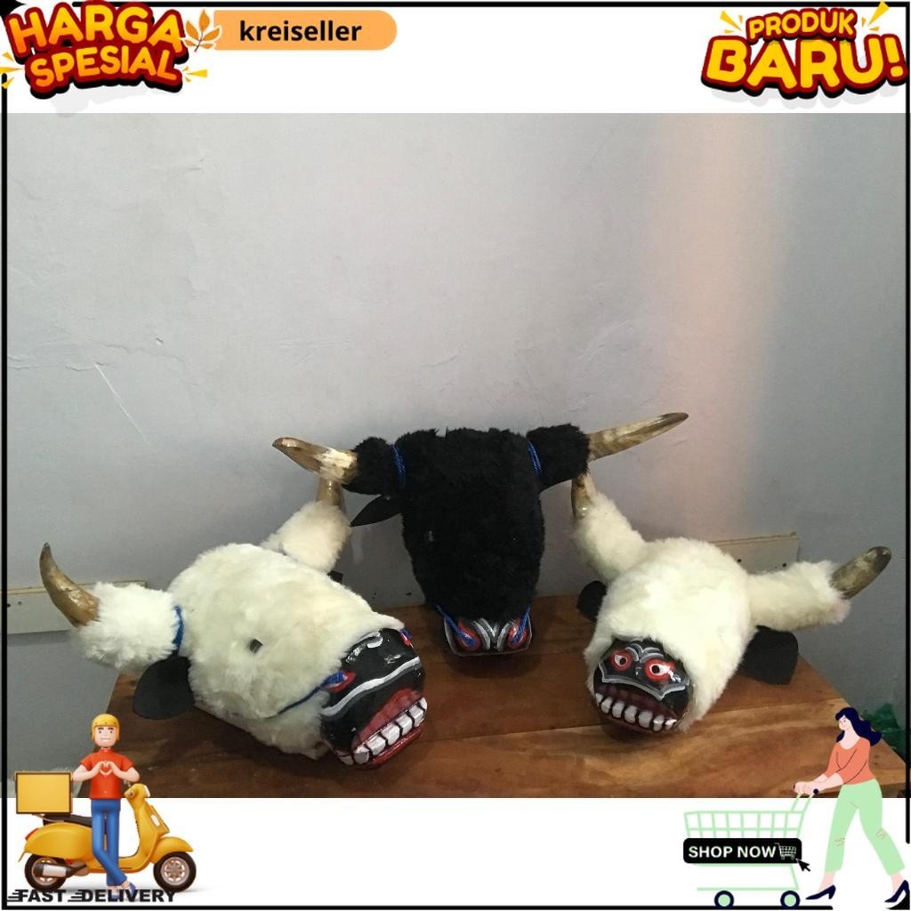 Banteng dewasa full bulu/bantengan mberot/Tanduk asli sapi krs