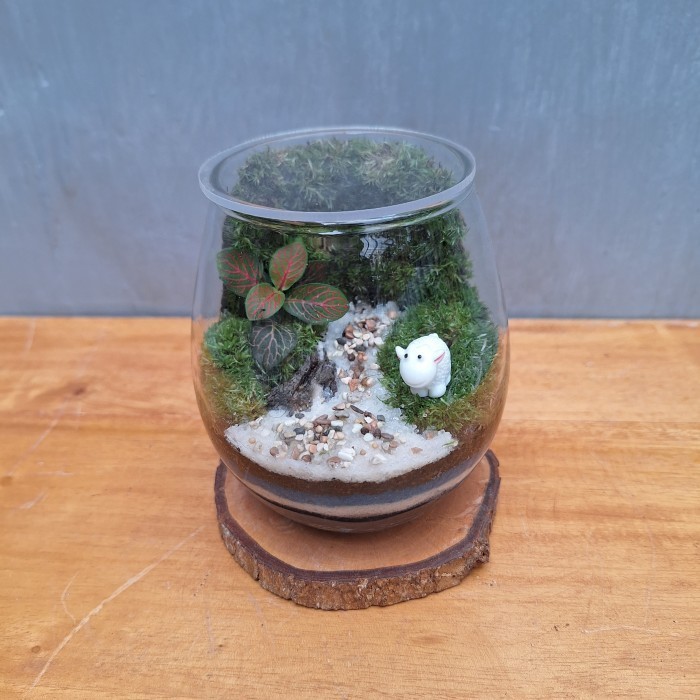 

Closed Terrarium | Mini Riverwall Terrarium | Gift Unik