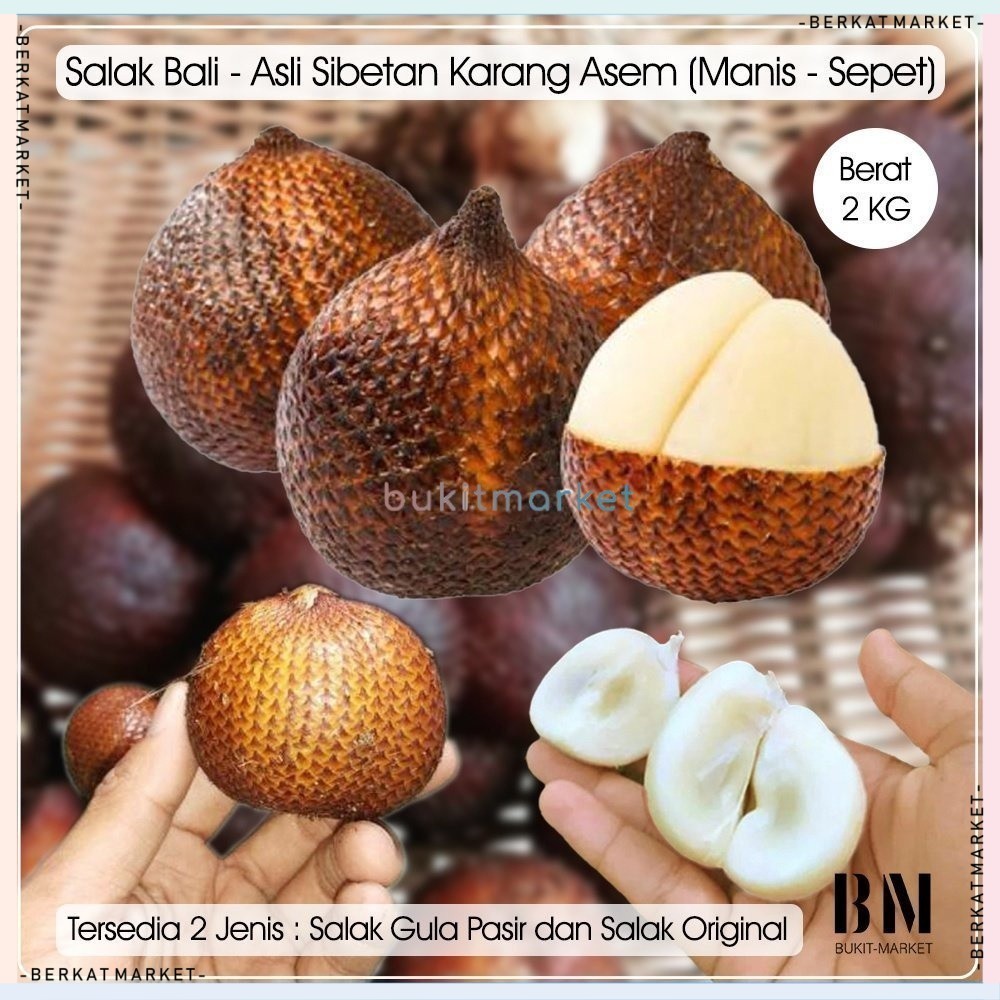 

Salak Buah Bali Gula Pasir Asam Manis Madu Pondoh Pondok Pondo Kering Asli Sibetan Karangasem Jogja Sidempuan Merah Medan Condet Sepet Gading Hutan Keranjang Bibit Biji Bubuk Candil Kualitas Super Kelas 1 Size Oleh Oleh2 Khas Kripik Keripik 1 kg 1kg