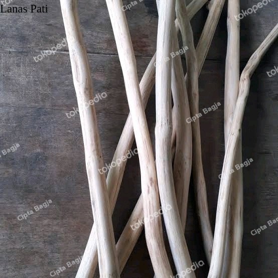 

5 BATANG RANTING JATI 50Cm SUDAH HALUS-TAEK WOOD BRANCH MACRAME XD4