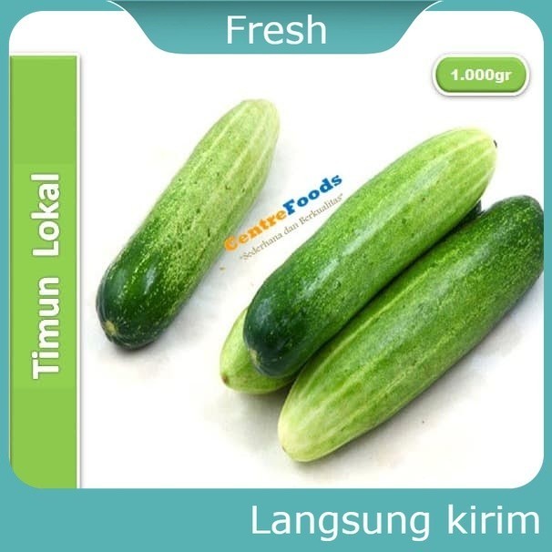 

Timun Lokal 500 gram Sayur Mayur Buah Buahan Bersih Fresh