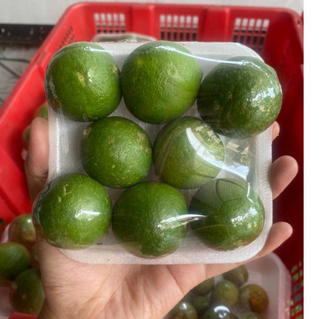 

Jeruk Nipis 250gr