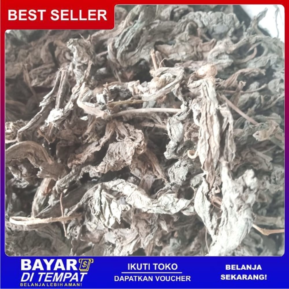 

OMH Terlaris Ts Murah [250gr] tempuyung kering premium