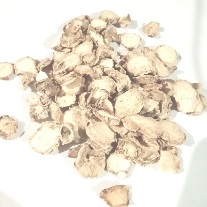 

OMH Terlaris [50gr] kencur kering kwalitas premium