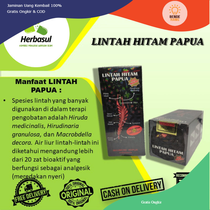 AW-Kz ASLI MINYAK LINTAH PAPUA ORIGINAL PRIVASI TERJAGA AMAN