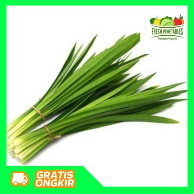 

Daun Pandan