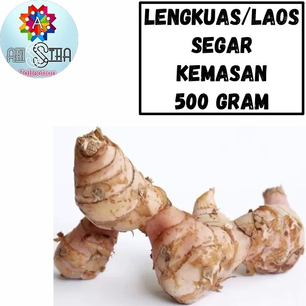 

Lengkuas Laos Segar Kemasan 500 Gram