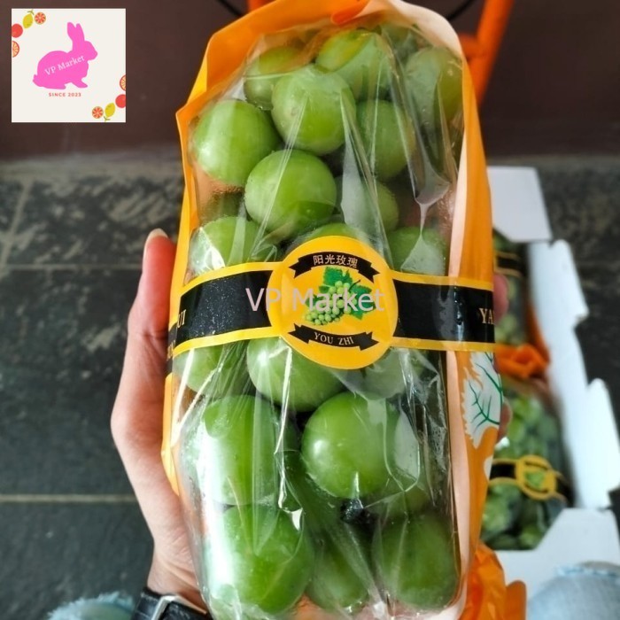 

Anggur Muscat Jumbo Premium -+ 800 Grm