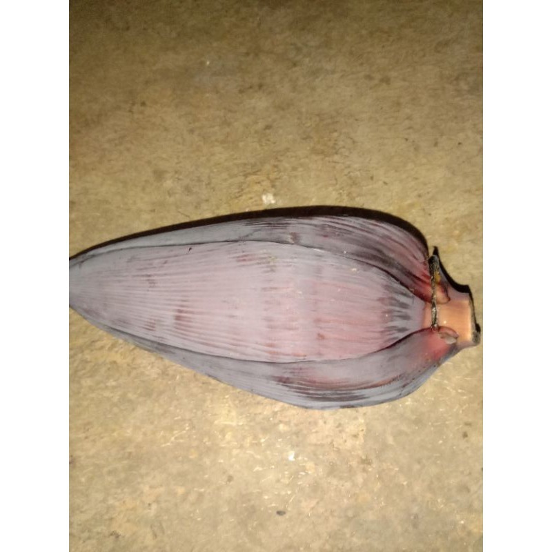 

terbaik jantung pisang sayur /opor jantung