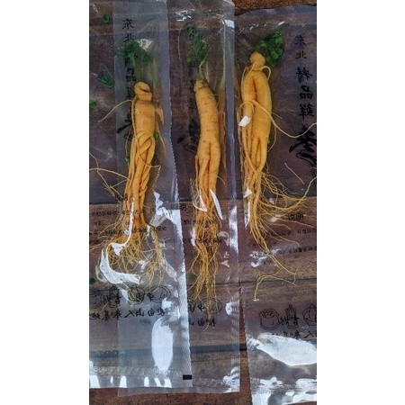 

Akar Ginseng Paket Hemat Isi 2 Berat 100 Gram