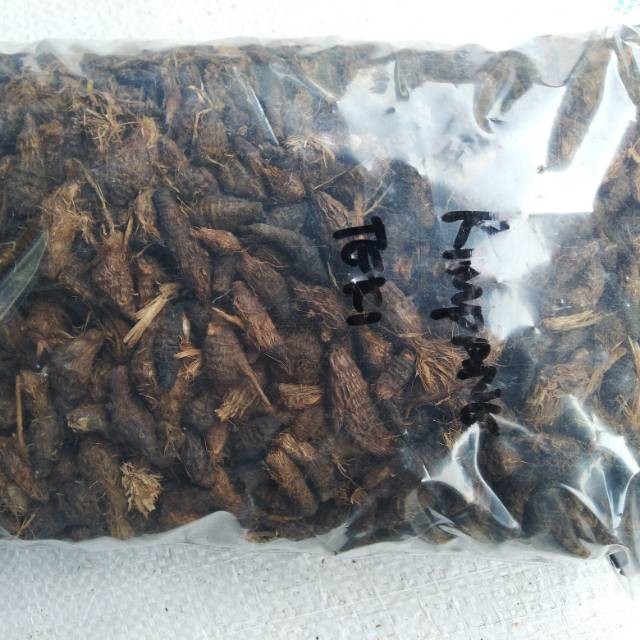 

Rimpang Rumput Teki 1kg / Umbi Suket Teki / Umbi Manggata