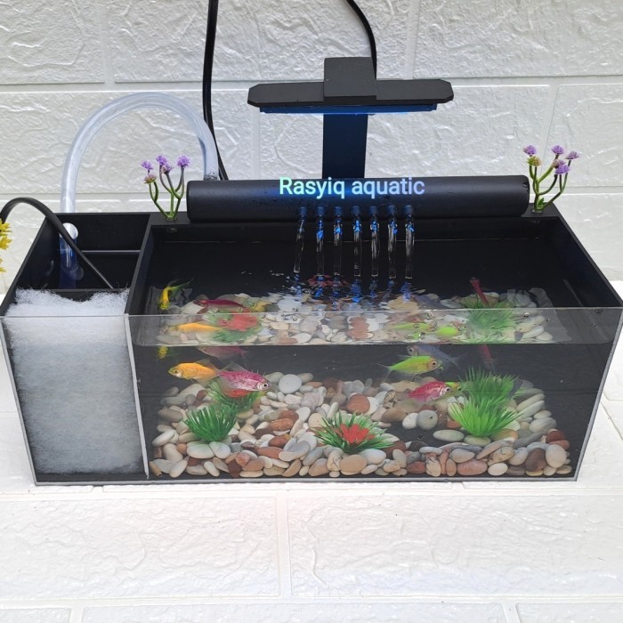 *PROMO*AQUARIUM MINI AKRILIK MURAH FULLSET AIR MANCUR/IKAN HIAS/CUPANG - Lampu hijau, Tanpa mesin