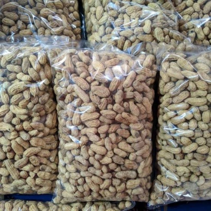 

1Kg Kacang Kulit Sangrai Madura Camilan Kacang Sangrai Camilan Kacang Oven Kacang Di Sangrai