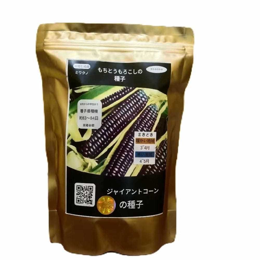 (COD) BENIH/BIBIT JAGUNG HOKAIDO  JEPANG f1  Ketan (Pulut) Hitam  PREMIUM