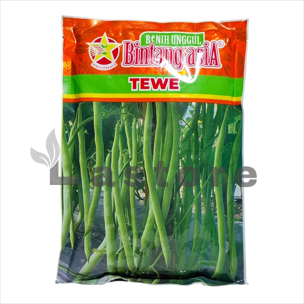 BENIH BUNCIS TEWE 500 GRAM - BINTANG ASIA