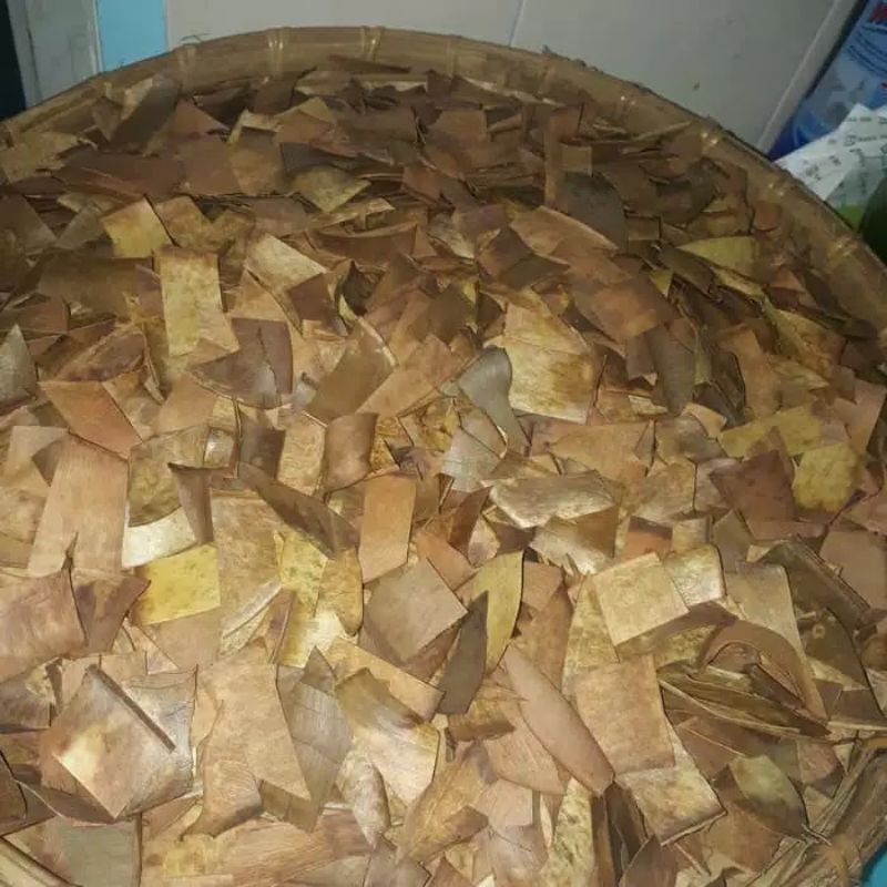 

DAUN KARET KEBO KERING MENGOBATI STROKE KEPUTIHAN (plastik krny) MELANCARKAN HAID GATAL PADA KULIT HIPERTENSI