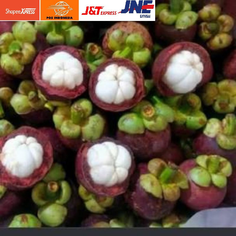 

Pengiriman Reguler - Buah Manggis Segar 1/2kg
