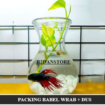 VAS AQUARIUM IKAN CUPANG / AQUARIUM IKAN GUPPY / AQUASCAPE / VAS KACA BENING / VAS BUNGA / VAS KACA 