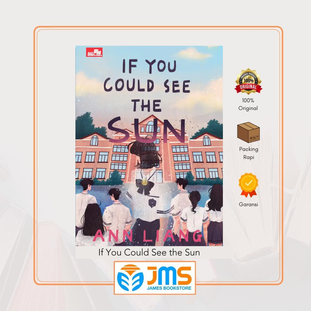 Novel If You Could See the Sun