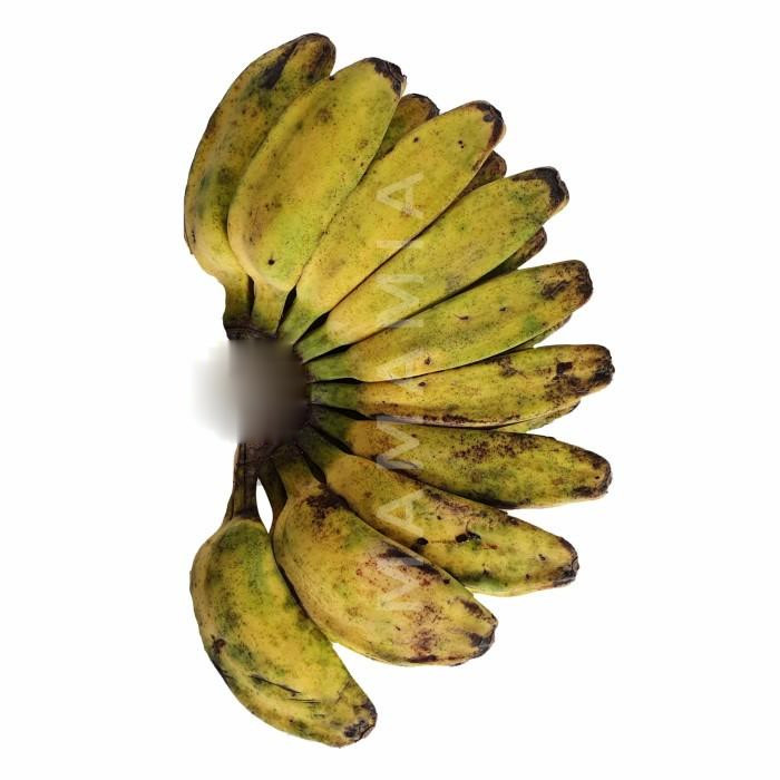 

pisang kepok untuk keperluan masak