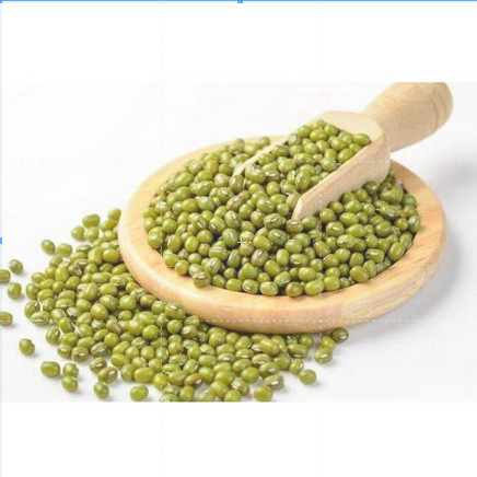

pekanbaru / KACANG HIJAU IMPORT REPACK = ECERAN/ KACANG