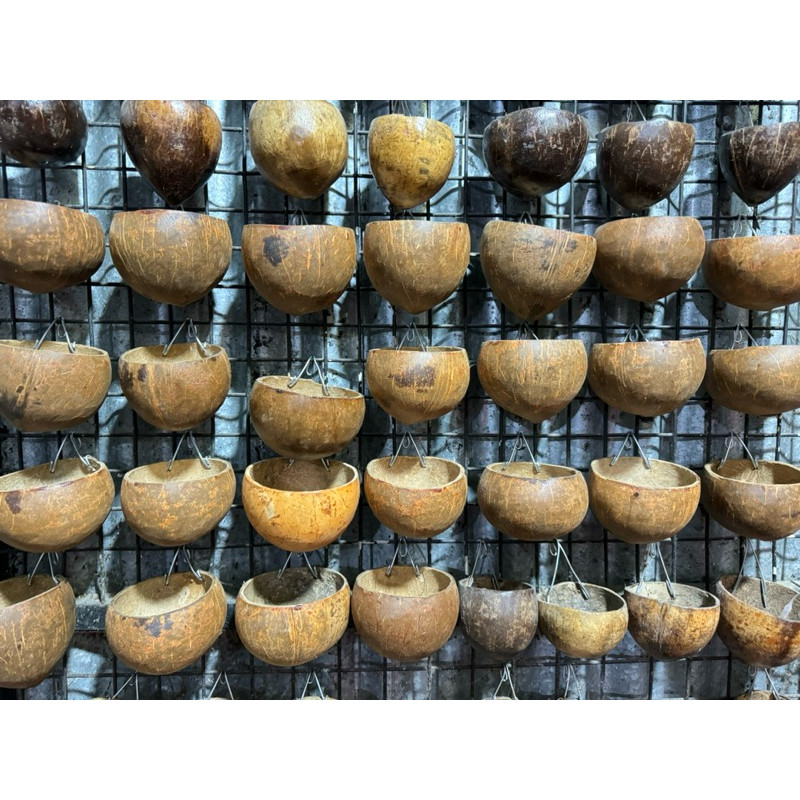 Batok pakan ayam wadah pakan ayam unggas lain